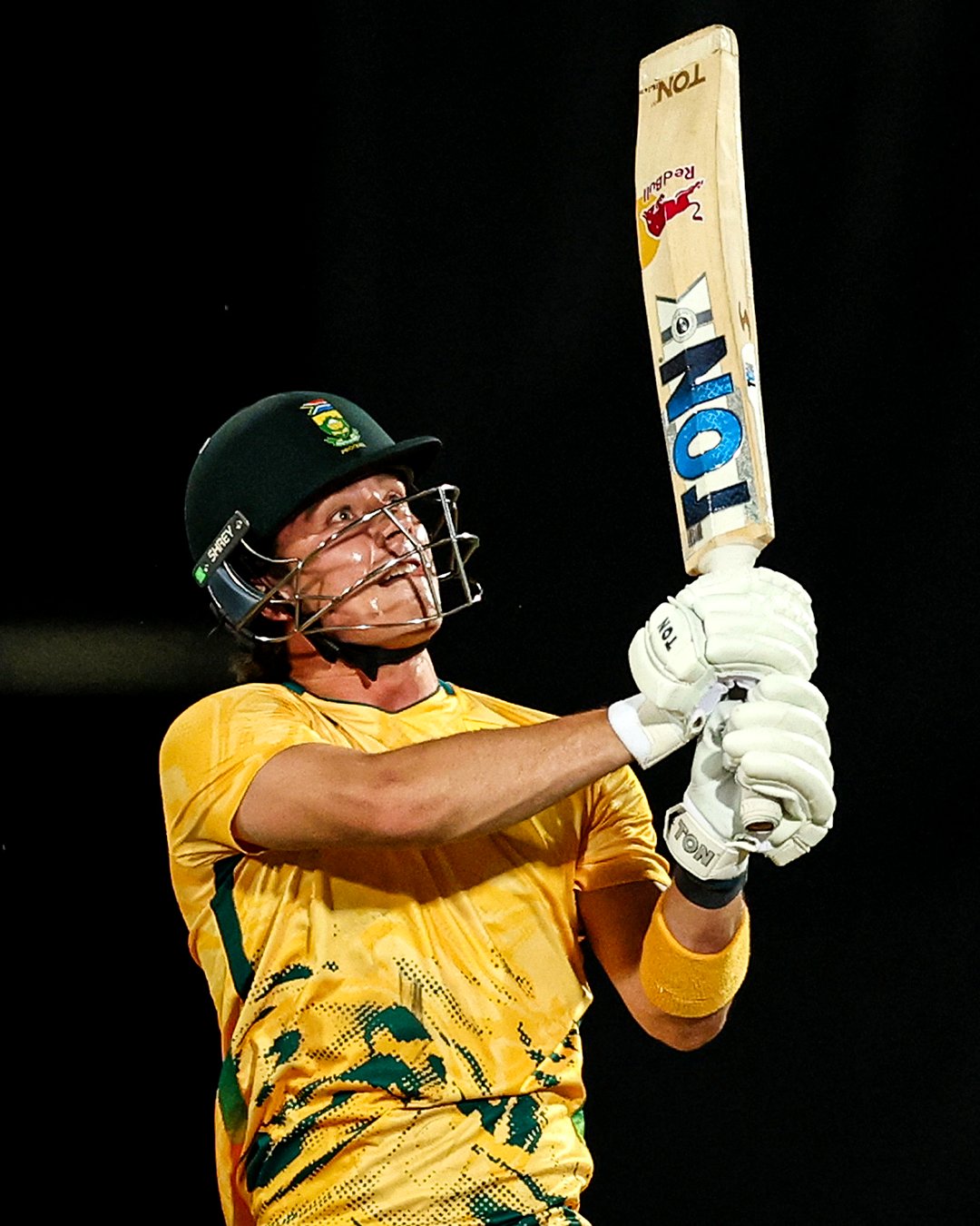 Dewald Brevis