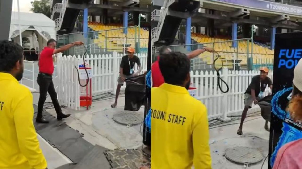 Snake found in Pakistan Dugout ahead of IND vs PAK Match 