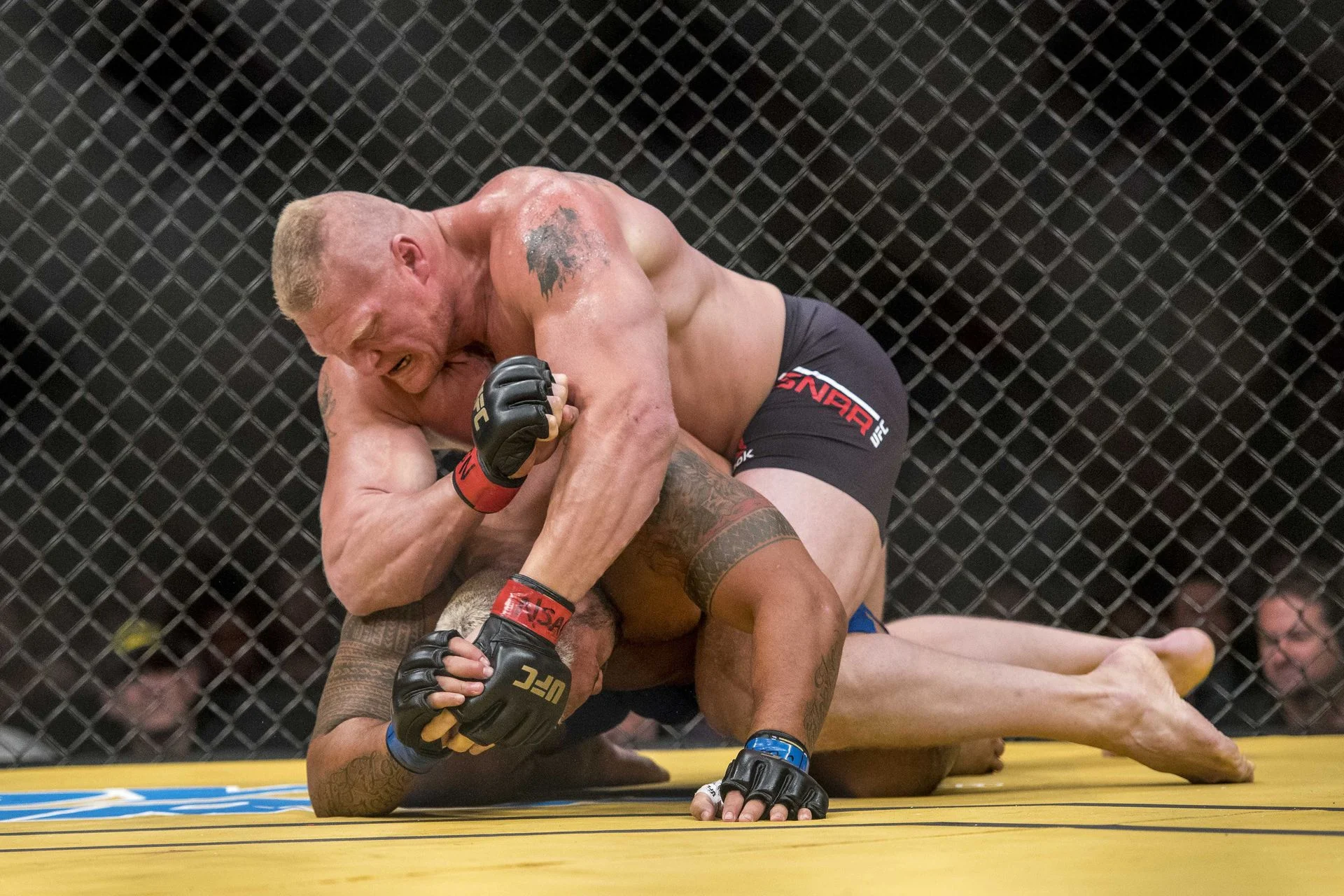 Brock Lesnar MMA Record