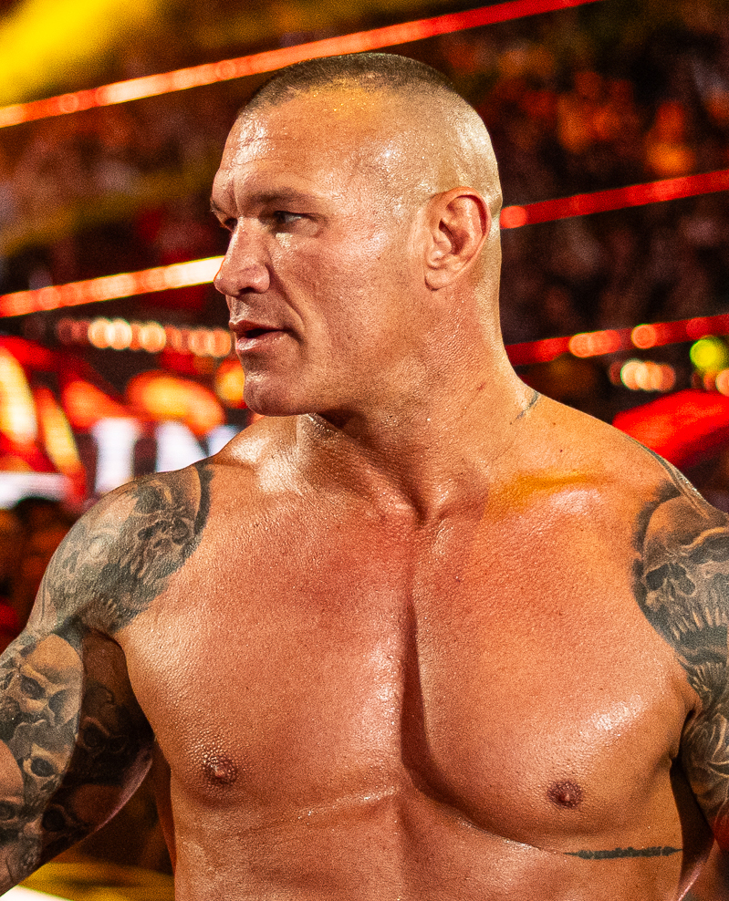 Randy Orton Hairstyle