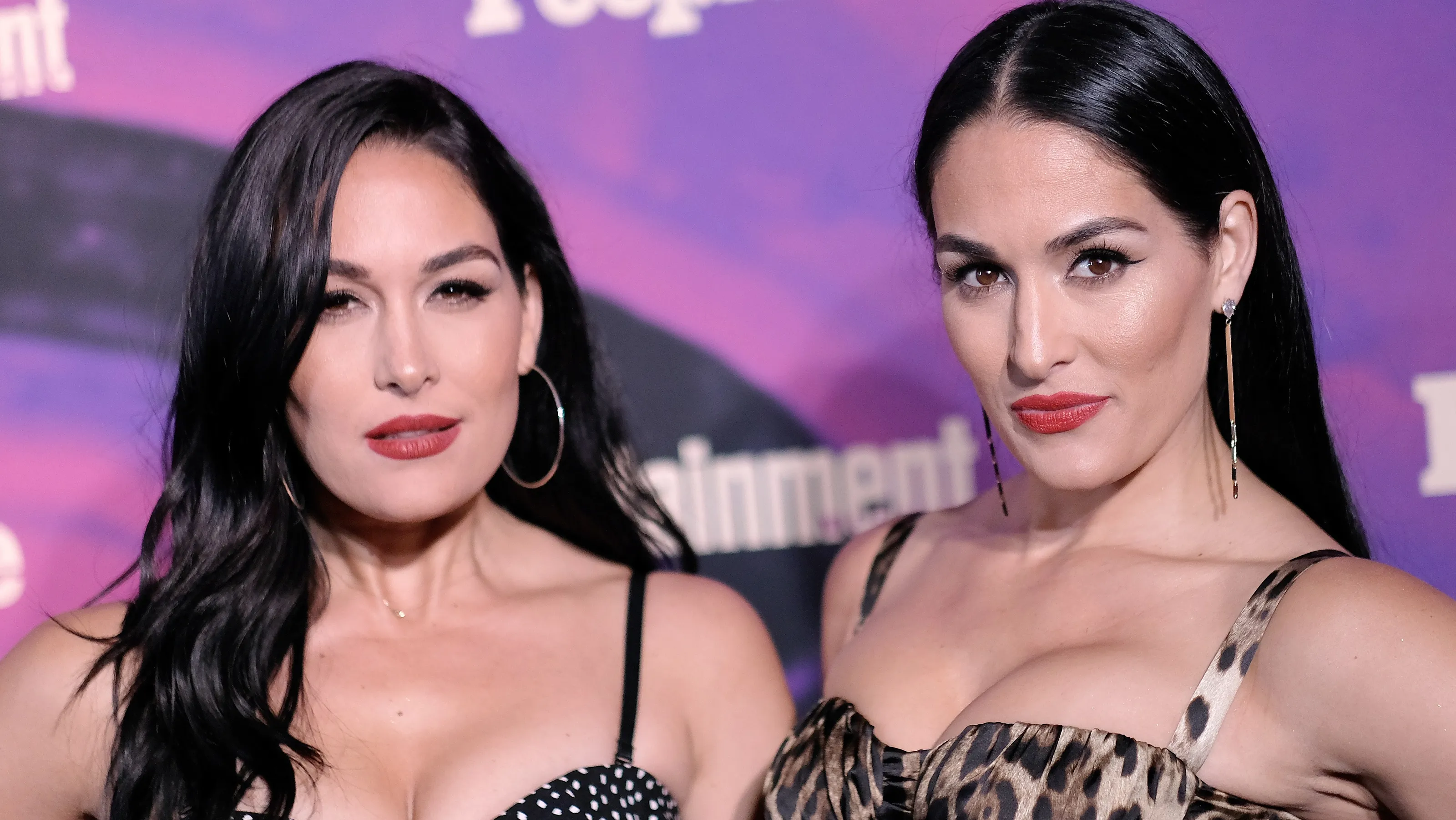 Brie Bella Nikki Bella